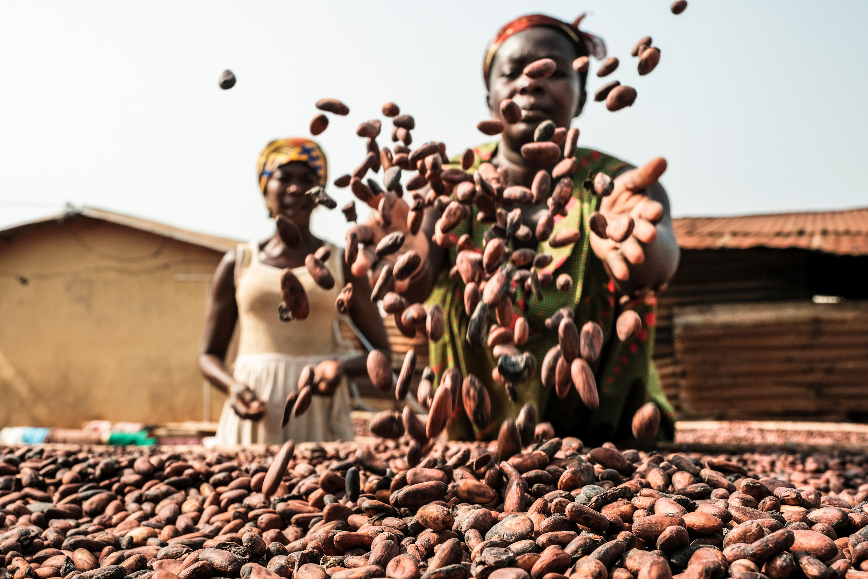 Lindt & Sprüngli achieves sustainability milestone: 100% traceable and verified cocoa beans